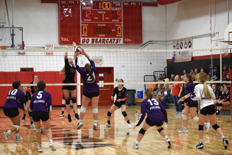 Junior Laynie Kleinfeldt  sets the ball over the net to try and score the Ladydogs a point against the Galatia Bearcats. 