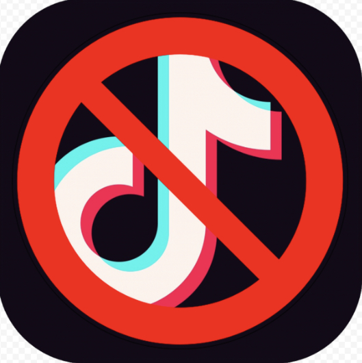 Current TikTok crisis causes wonder