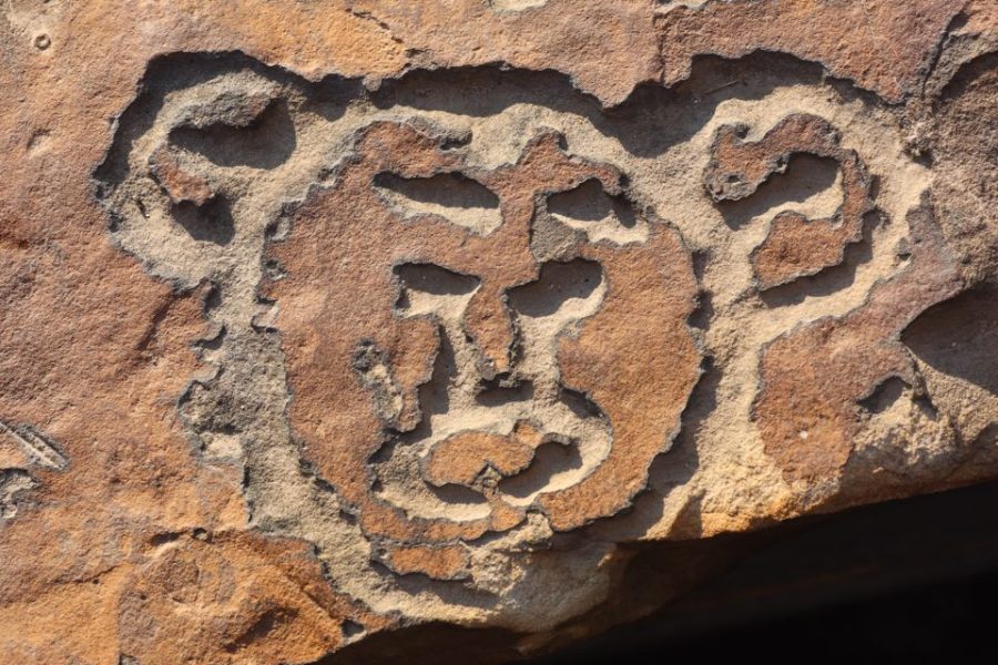 Chervinko photographs different historical objects throughout the region. The bear petroglyph is one of the pieces of art returning to Southern Illinois after being kept in Kansas. This particular petroglyph is from Peter's Cave in Jackson County.