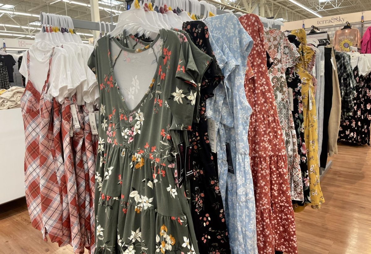 Dress clothing rack found at Walmart.