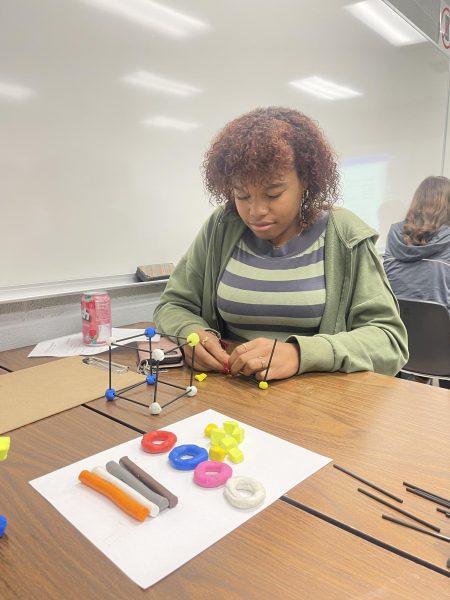 Sophomore Saionna Scaggs builds a cube out of coffee sticks and clay. Along with Scaggs, everyone who attended STEM Day went through different rotations.