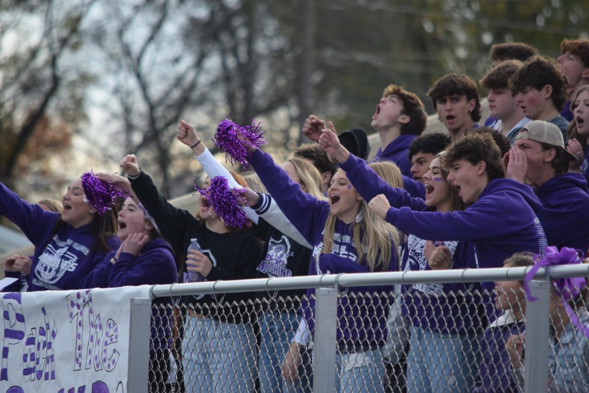 Bulldog fans cheer on the varsity football team at Taylor Field Nov. 11 during the playoff game against Murphysboro.