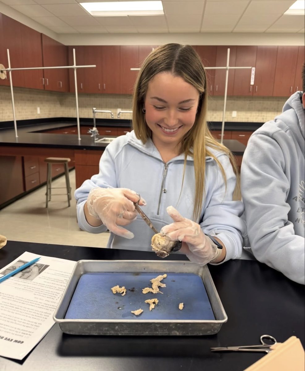 Junior Maddie dissects a cow eye to learn the anatomy in Mrs. Mondino's third hour class. 
